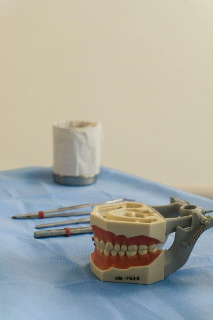 Detailed partial denture framework on a dental model